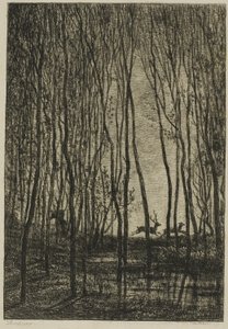 Ciervos en el Bosque de Charles Francois Daubigny