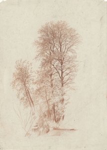 Estudio de dos árboles esbeltos y algunos más pequeños en hoja de Charles Francois Daubigny