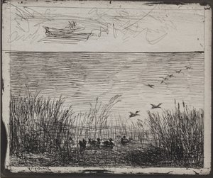 Pantano con patos de Charles Francois Daubigny