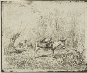 El burro en el prado
