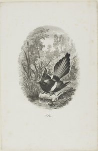 La urraca de Charles Francois Daubigny