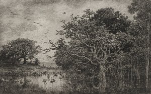 El pantano con cigüeñas
