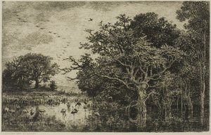 El pantano con cigüeñas
