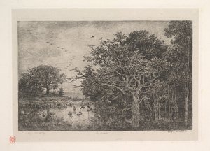 Los pantanos, 1851