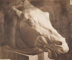 Estudio - Cabeza de caballo del Partenón