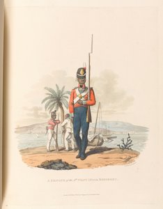Un soldado del 5º Regimiento de las Indias Occidentales
