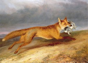 Zorro llevándose un conejo de Charles Hancock