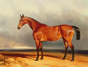 El cazador de la bahía de Charles Hancock