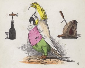 Cacatúa codiciosa (grabado coloreado)