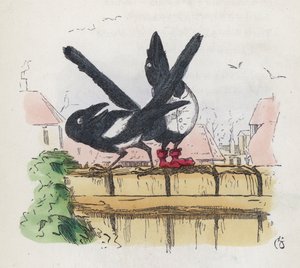 Dos urracas en una cerca de jardín