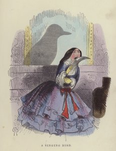 Pájaro cantor