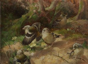 En el Bosque Feliz de Charles Henry Clifford Baldwyn