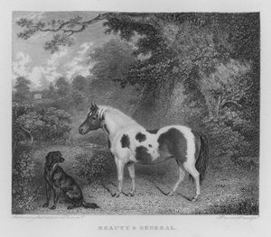 Belleza y General (grabado)