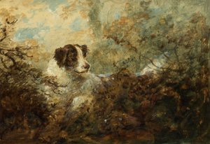 Perro de Charles Henry Schwanfelder