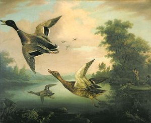 Caza de patos de Charles Henry Schwanfelder