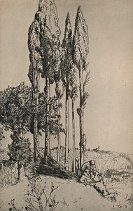 Árboles de ciprés cerca de Siena, 1903 de Charles Holroyd
