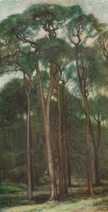 Estudio de árboles de Charles Holroyd