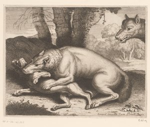 Perro atacado por un lobo Serie de animales (título de la serie)