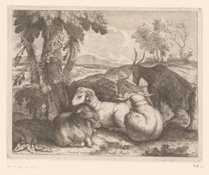 Ovejas y cabras debajo de un árbol Serie de animales (título de la serie) de Charles II Errard (attributed to)