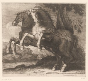 criando caballos Chevaux Tartare (título sobre el objeto) Serie de animales (título de la serie) de Charles II Errard (attributed to)