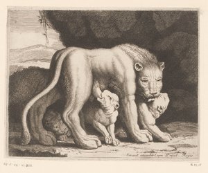 leona lactante Serie de animales (título de la serie)
