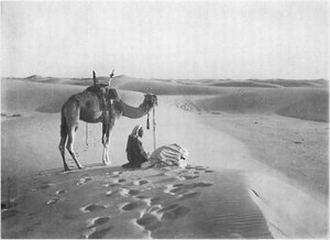 La oración del atardecer en el desierto