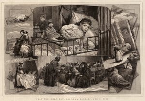 ¡Ayuda a los ayudantes!, Domingo del Hospital, 13 de junio de 1880