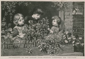 Recreaciones de los pobres de Londres: Jardinería en ventanas para niños de Charles J. Staniland