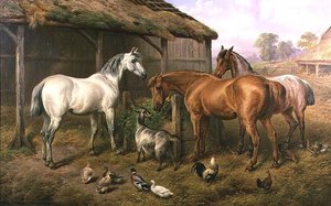 Amigos del Corral de Charles Jones