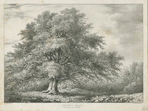 Lichfield - Árbol de Sauce de ["Dr. Johnson"], s.f. [1789-1850] de Charles Joseph Hullmandel
