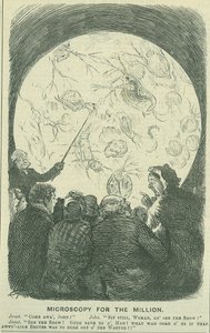 Microscopía para las masas: 1878 (grabado) de Charles Keene