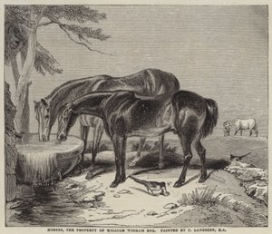 Caballos, propiedad de William Wigram, Esquire