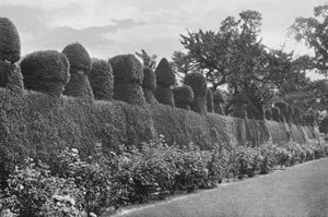 Fulford Hall: Trabajo excéntrico de topiaria
