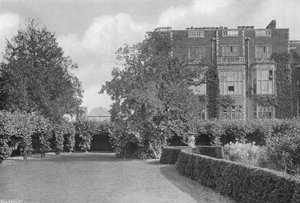 El viejo árbol de morera de Charles Latham