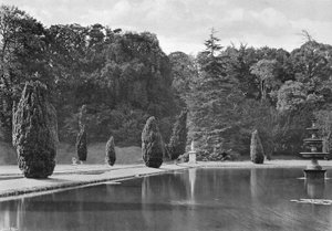 La sombra de un tejo de Charles Latham