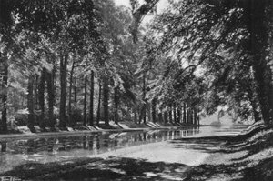 El Estanque T de Charles Latham