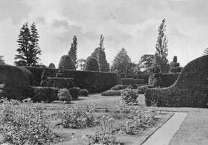 El Jardín de Tejos