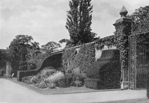 Contrafuerte de tejo, paseo del mirador de Charles Latham