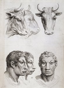 Comparación entre hombres y ganado de Charles Le Brun