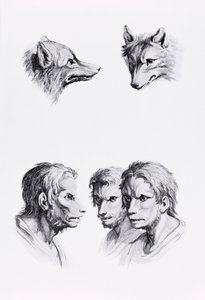 Similitudes entre la cabeza de un lobo y un hombre, de 