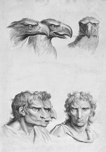 Similitudes entre la Cabeza de un Águila y un Hombre, del 