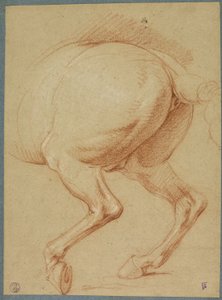 Las patas traseras de un caballo de Charles Le Brun