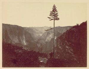 Valle de Yosemite desde el Sendero Mariposa de Charles Leander Weed