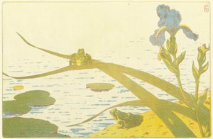 Ranas de Charles Louis Houdard