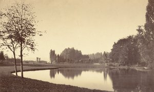 Bosque de Boulogne de Charles Marville