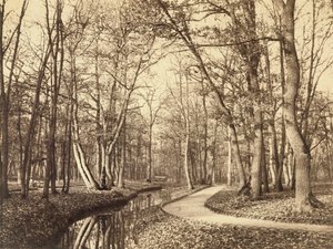 Bosque de Boulogne, París de Charles Marville