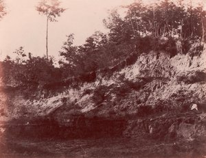 Carrière, 1850-53 de Charles Marville