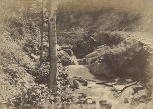 [El Valle Suizo en St. Goarshausen] de Charles Marville
