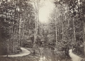 Mare aux biches (Estanque de ciervas), Bois de Boulogne