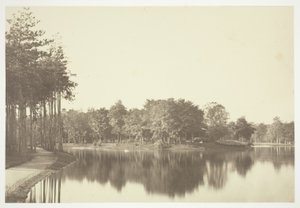 Sin título de Charles Marville